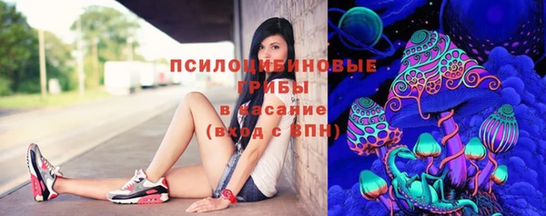 спиды Покровск