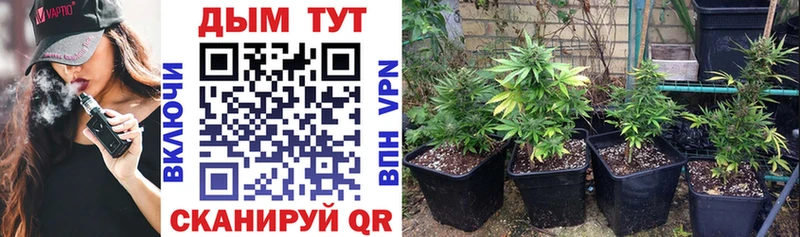 Бошки Шишки OG Kush  Корсаков 